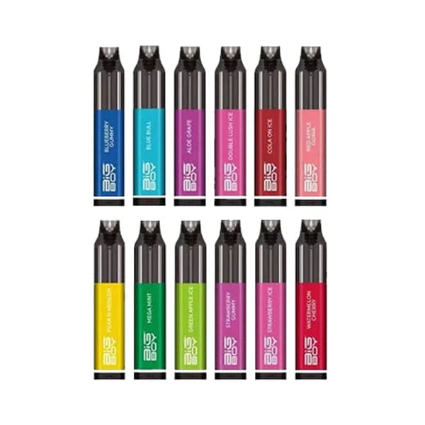 Big Boy Rechargeable Disposable | 4000 Puffs | 10mL
