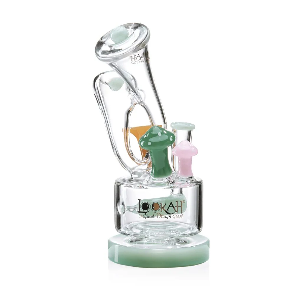 Lookah (Dab Rig) 9â Cute Recycler Fairy Mushroom Water Pipe