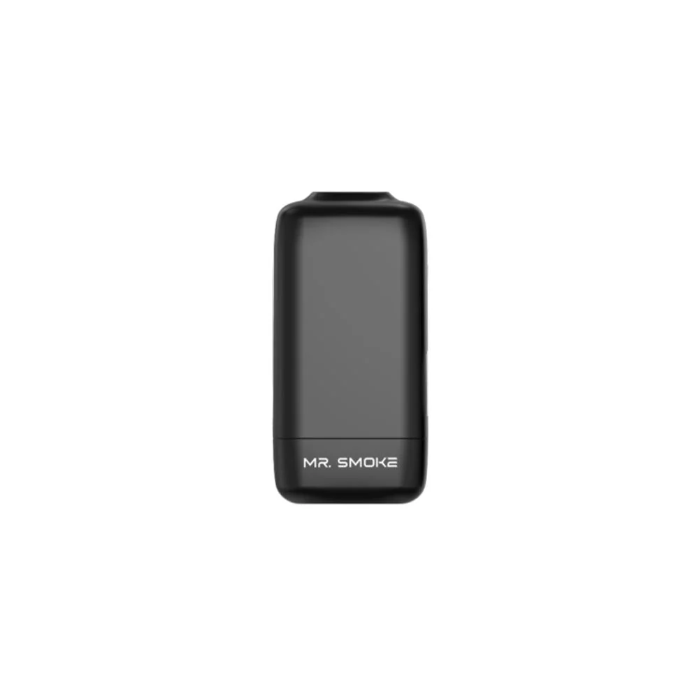 2183-luzid-mr-smoke-personal-air-filter-5pc-pack-1.webp