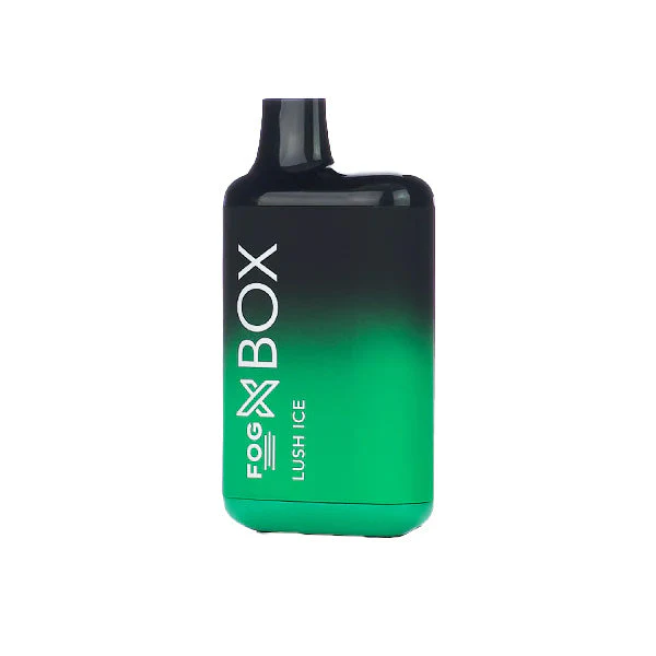 21848-fog-x-box-disposable-6000-puffs-13ml-1.webp
