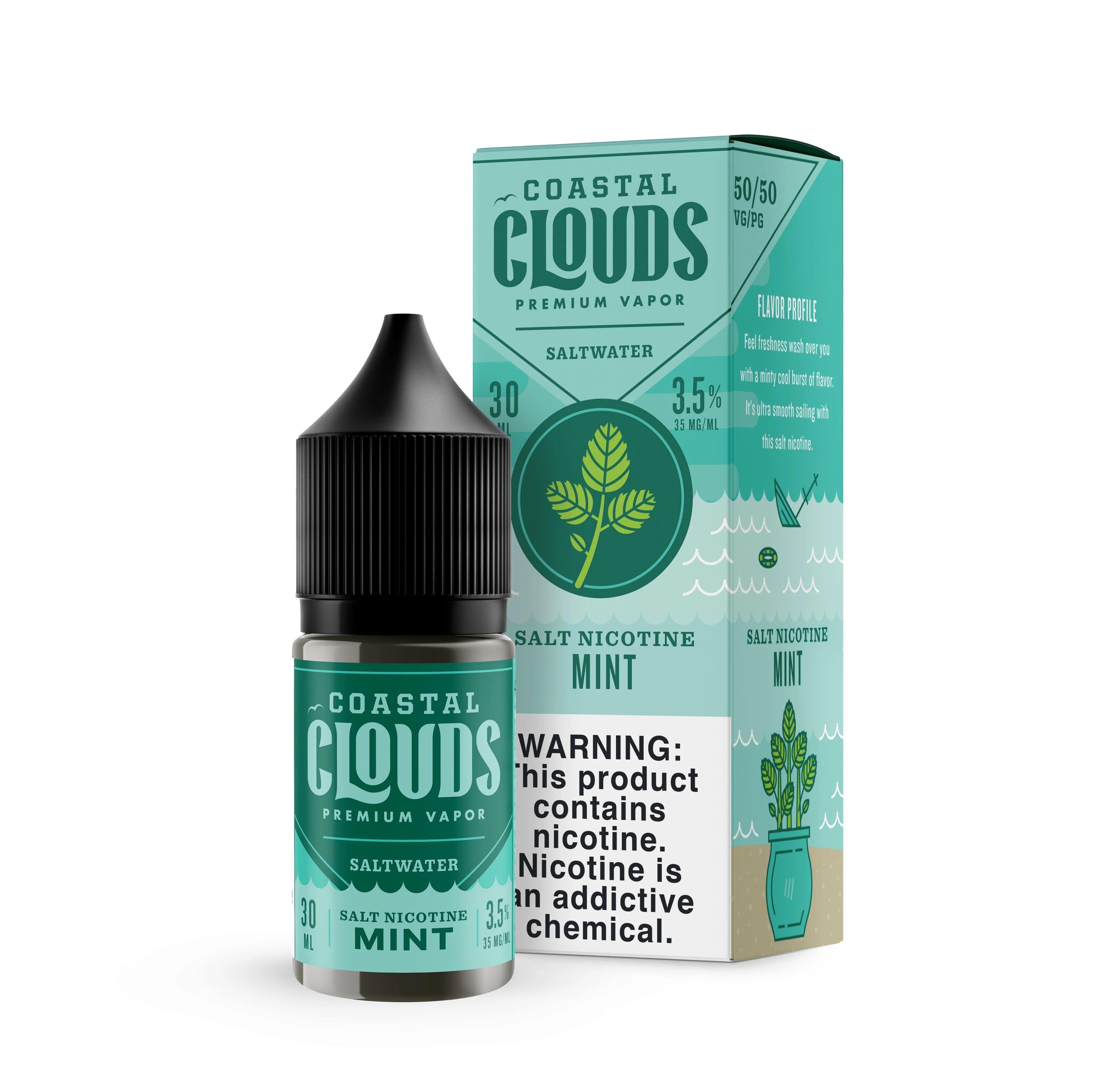 6655-mint-by-coastal-clouds-salt-30ml-1.webp